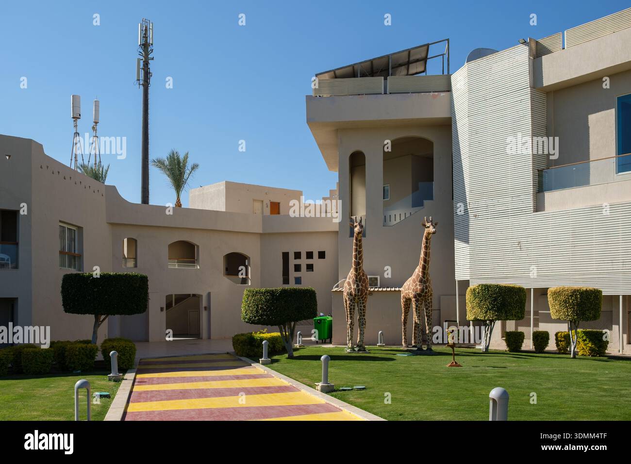 Zwei Giraffen stehen in einem begrünten Innenhof eines modernen Gebäudes mit Palmen und Telekommunikationsturm im Hintergrund Stockfoto