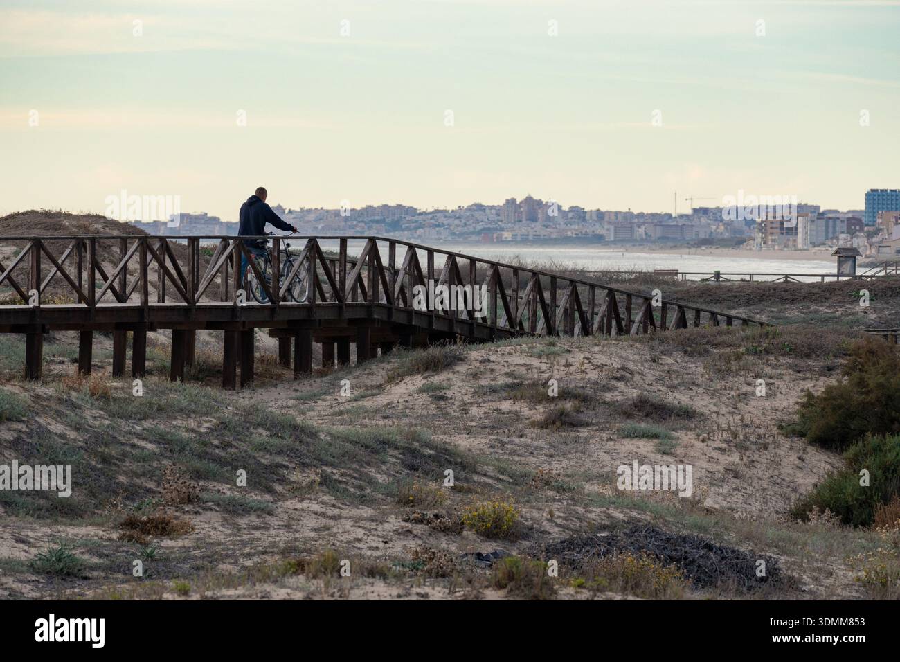 Mann mit seinem Fahrrad, der auf einem hölzernen Brückenweg durch die Sanddünen der Küste geht, die bei Sonnenuntergang mit goldener Stunde Licht und Dramat zum Strand des Ozeans führen Stockfoto