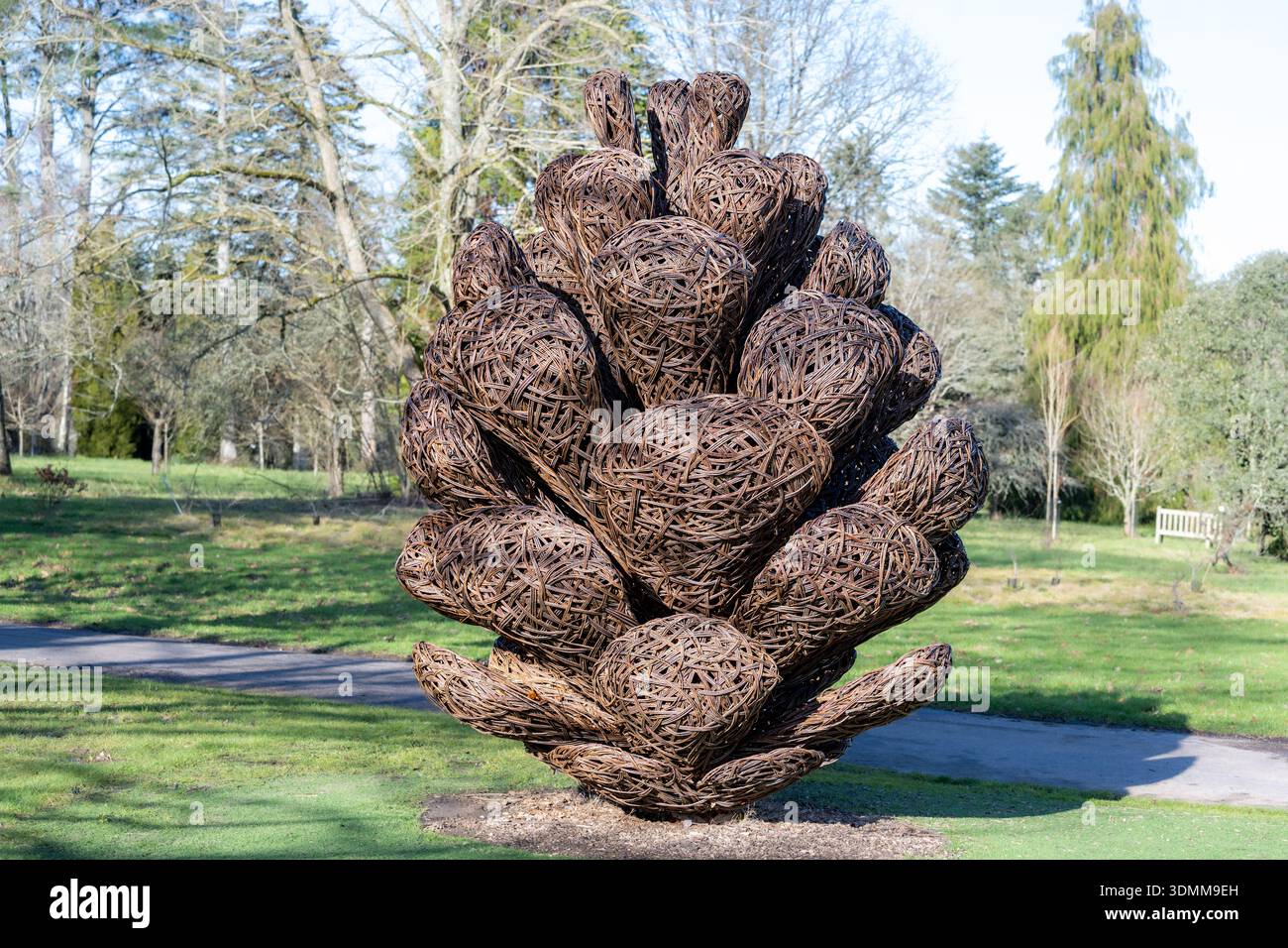 Willow Sculpture, Sir Harold Hillier Gardens, Hampshire, UK l Stockfoto