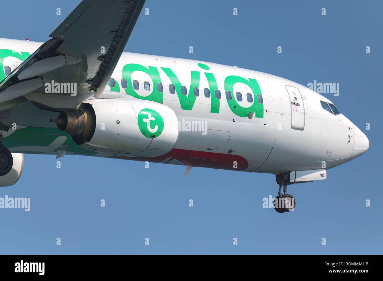 Larnaca, Zypern - 29. Juni 2024: Passagierflugzeug der Transavia Boeing 737 fliegt im blauen Himmel und bereitet sich auf die Ankunft vor Stockfoto