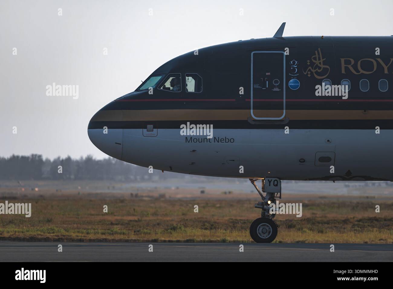 Larnaca, Zypern - 29. Juni 2024: Der Royal Jordanian Airbus A320 landet am frühen Morgen am Flughafen Larnaca auf Zypern Stockfoto