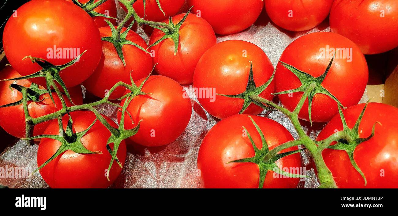 Rote frische Tomaten mit grünen Stielen, voll mit Antioxidantien. Stockfoto