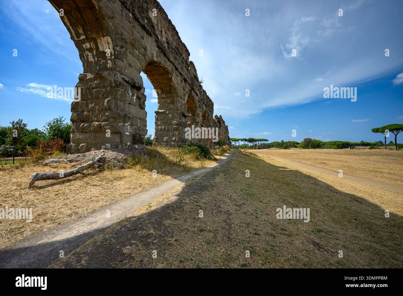Architektonische Überreste eines römischen Aquädukts inmitten einer offenen Landschaft und Bäumen im Parco degli Acquedotti, Rom. Stockfoto