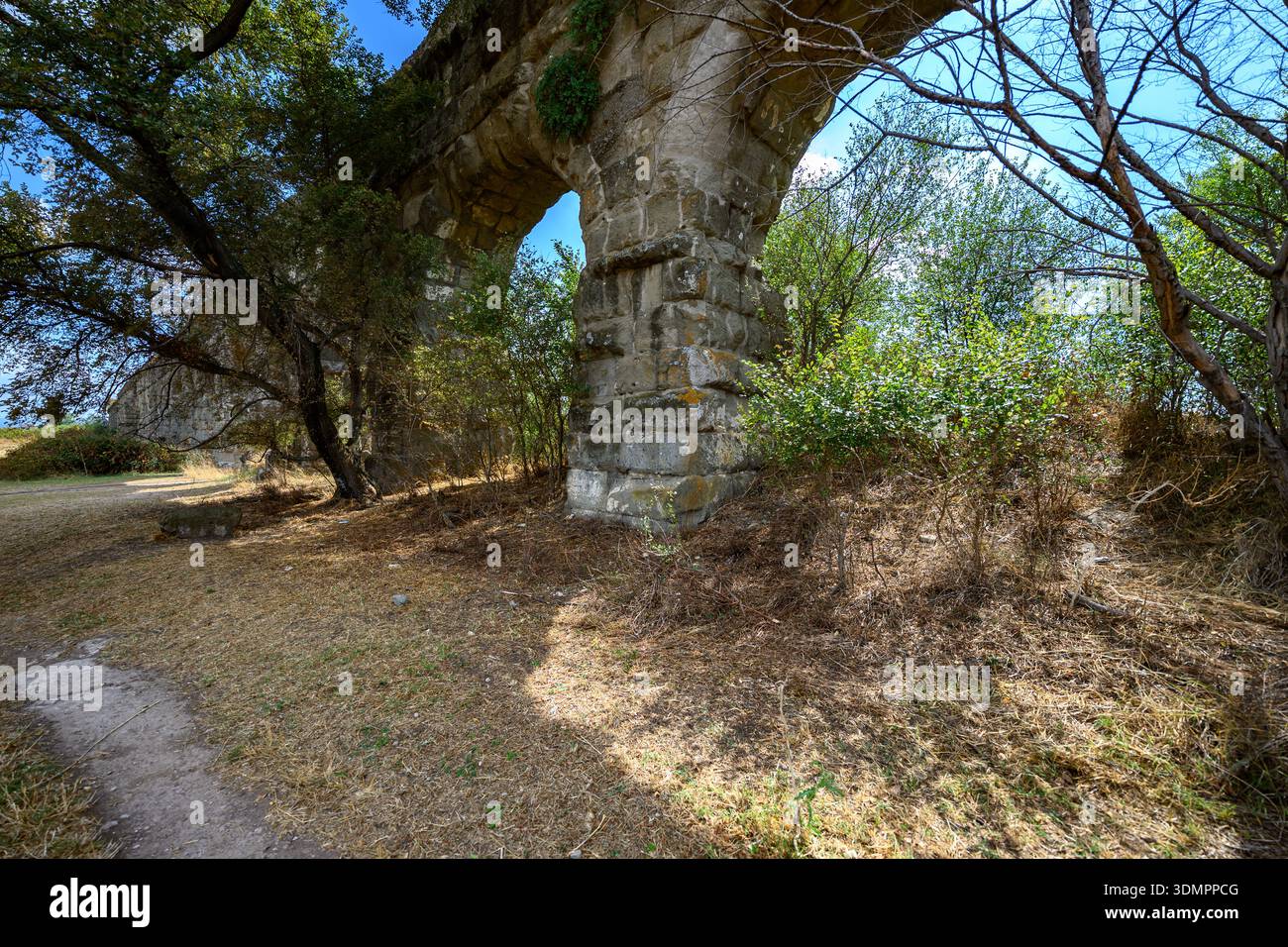 Klassisches Aquädukt aus Stein, das rhythmische Bögen im grünen Park des Parco degli Acquedotti in Rom bildet. Stockfoto
