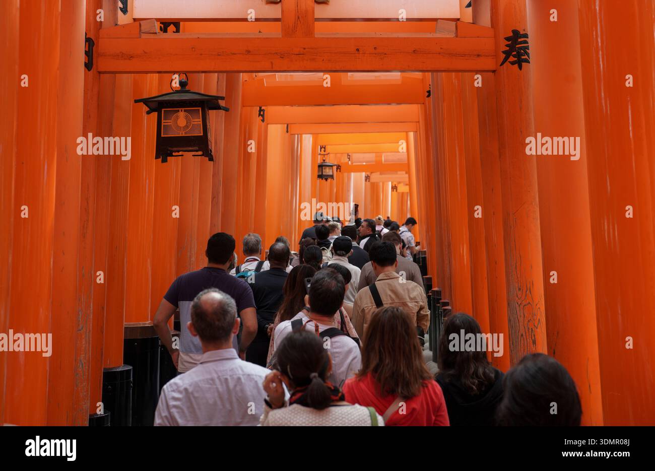 Touristenmassen am Fushimi Inari Schrein Torii Gate Tunnel, Kyoto, Japan Stockfoto