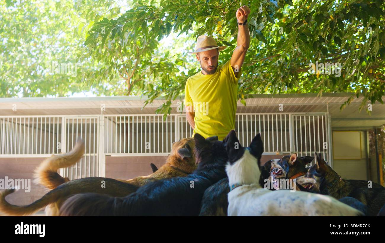 Trainer, der Hunde in einem Tierheim ausbildet Stockfoto