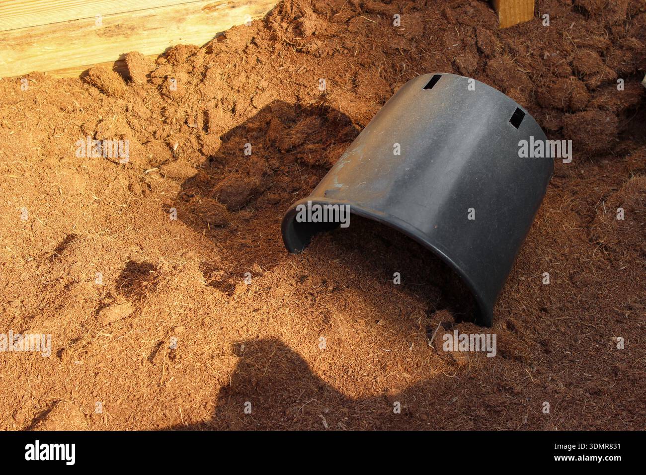 Gemahlener Cocopeat-Kompost in einem Holzbehälter mit schwarzem Eimer darin. Cocopeat für den Topfbodenmix. Feiner Coco-Torf-Bodenmix für den Gartenbau. Stockfoto