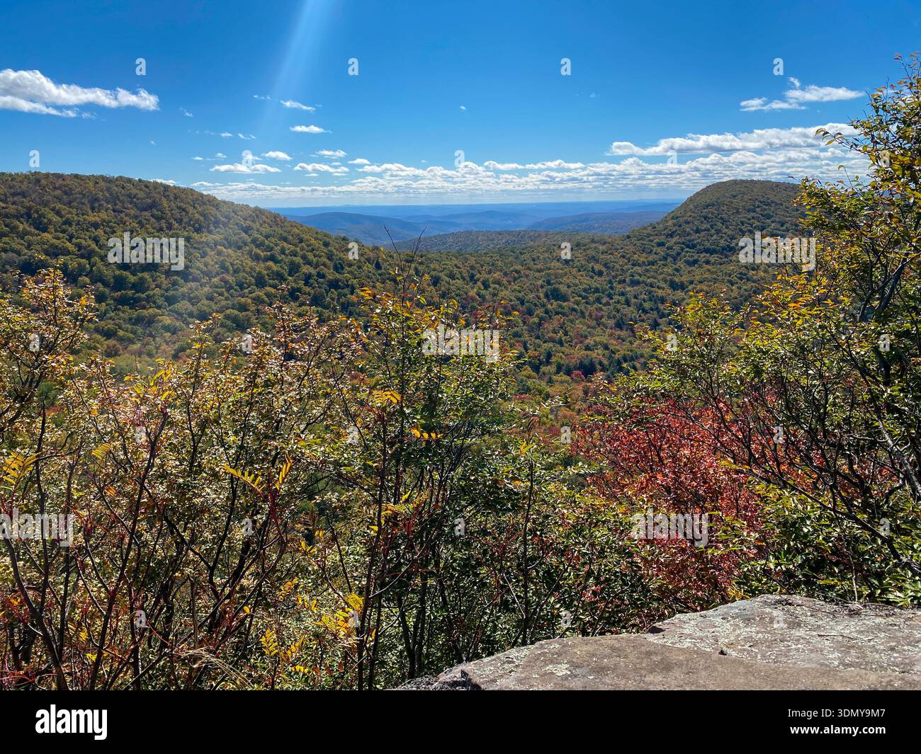 Herbstlaub über den Catskill Mountains, von einem erhöhten Wanderaussichtspunkt im Norden von New York aus gesehen. Stockfoto