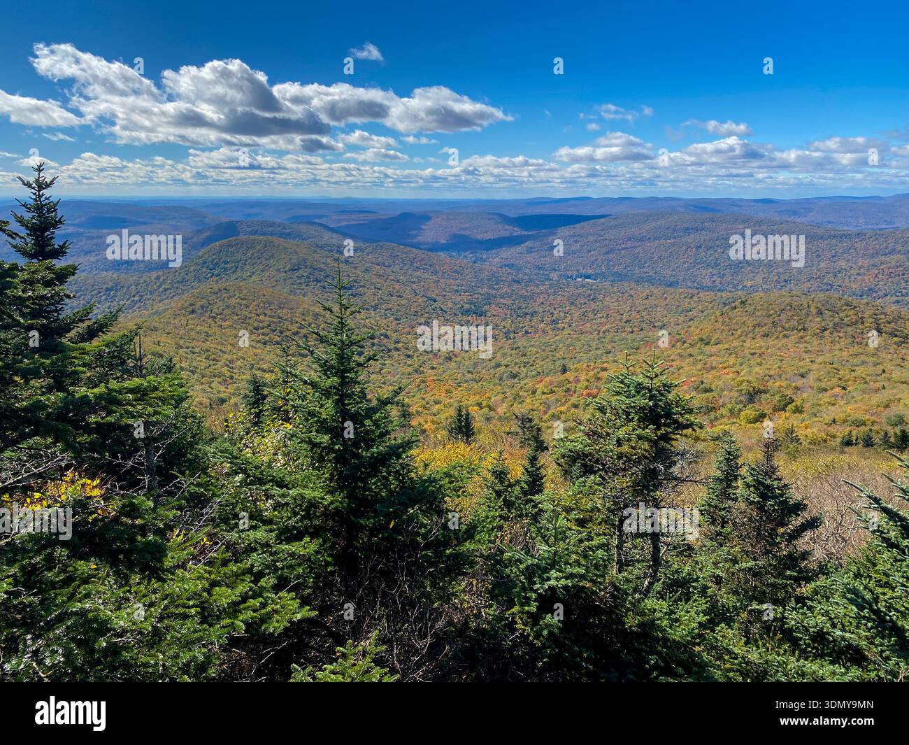Herbstpanorama der Catskill Mountains, New York, mit farbenfrohem Herbstlaub, immergrünem Vordergrund und dramatischen Wolken. Stockfoto