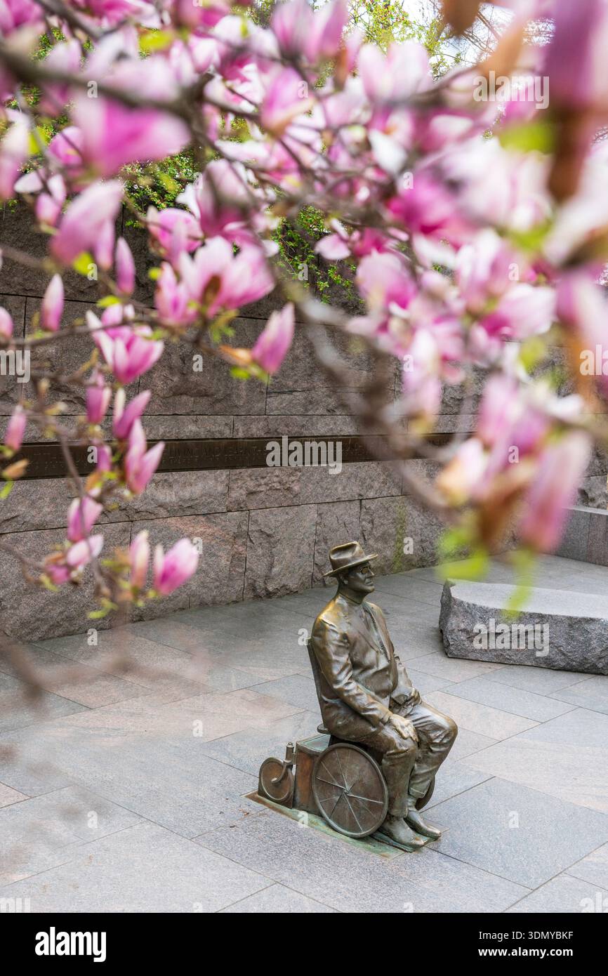 Magnolienblüten Rahmen eine Bronzeskulptur am FDR-Denkmal. Stockfoto