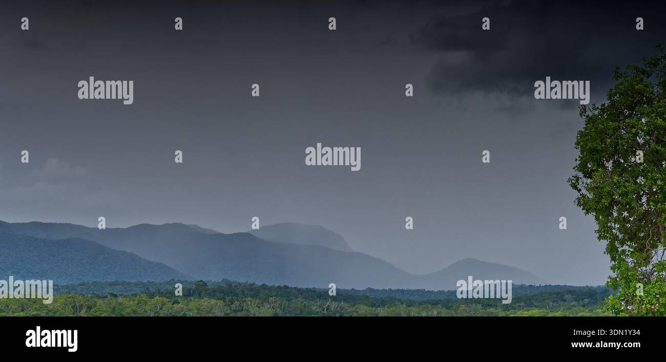 Panorama von grauem, stürmischem Himmel und tropischem Regen über Iron Range, Cape York, Queensland, Australien Stockfoto