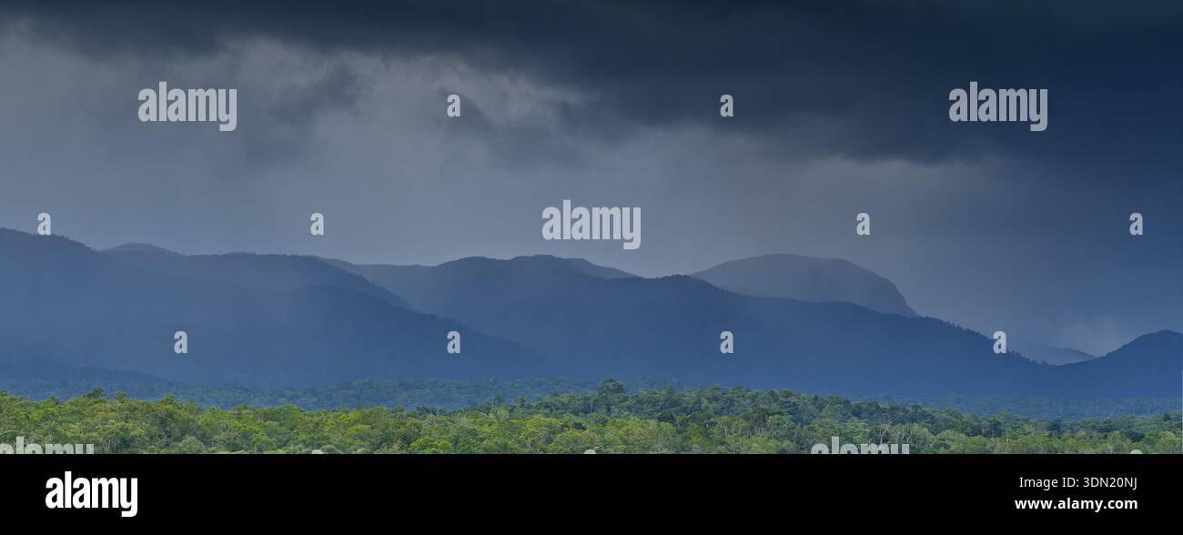 Panorama von grauem, stürmischem Himmel und tropischem Regen über Iron Range, Cape York, Queensland, Australien Stockfoto
