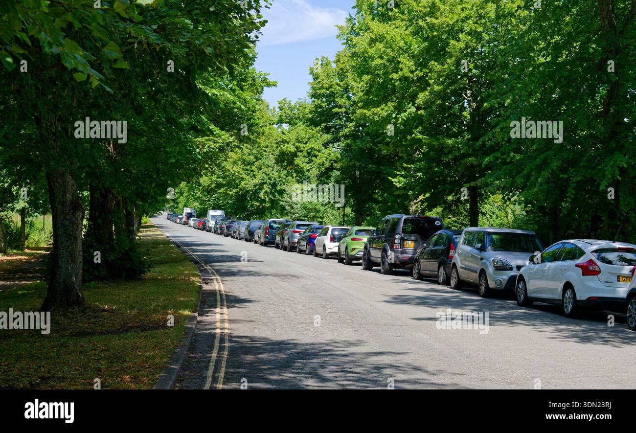 Eine Reihe von geparkten Autos entlang der Mill Road zwischen Baumreihen in Arundel, West Sussex, England, Großbritannien. Stockfoto