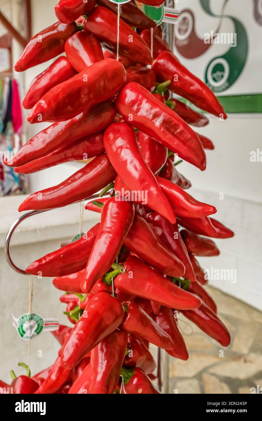 Nahaufnahme der roten Espelette-Chili-Paprika, die in Strings hängen Stockfoto