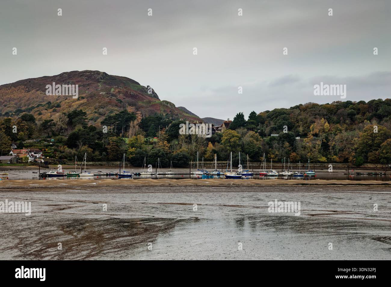 Ein Gezeitenfluss bei Ebbe mit Yachten, die an einem bewaldeten Flussufer mit einem Berg im Hintergrund verankert sind, Conway, North Wales. Stockfoto