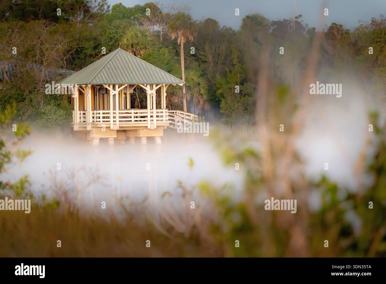 Everglades National Park Morgennebel steigt um das Besucherzentrum Aussichtsplattform Nebelsumpf Sonnenaufgang Südflorida Landschaft und malerische Atmosphäre Stockfoto
