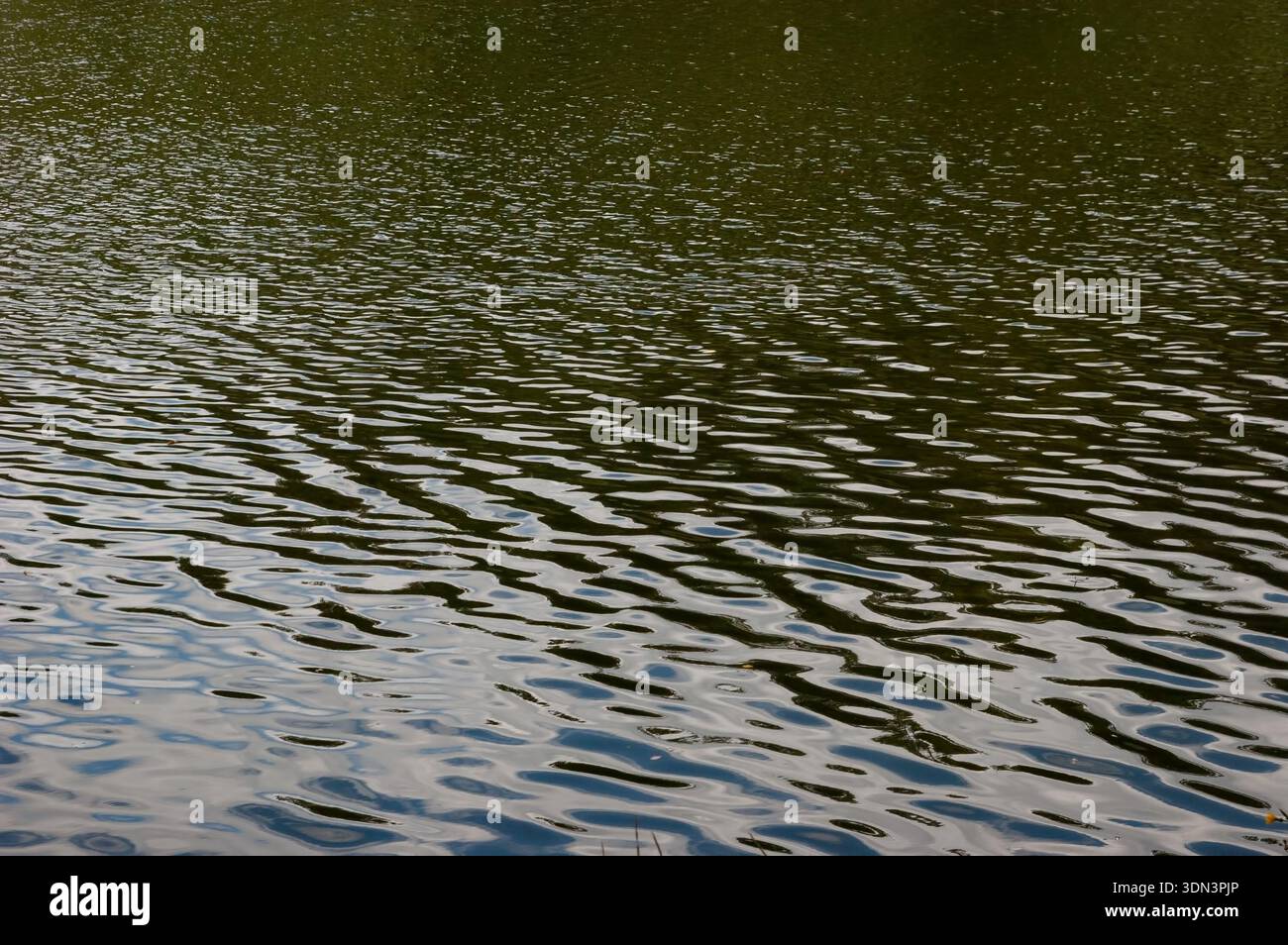 Grünes Seewasser mit sanften Kräuselungen, die den gesamten Rahmen abdecken. Stockfoto
