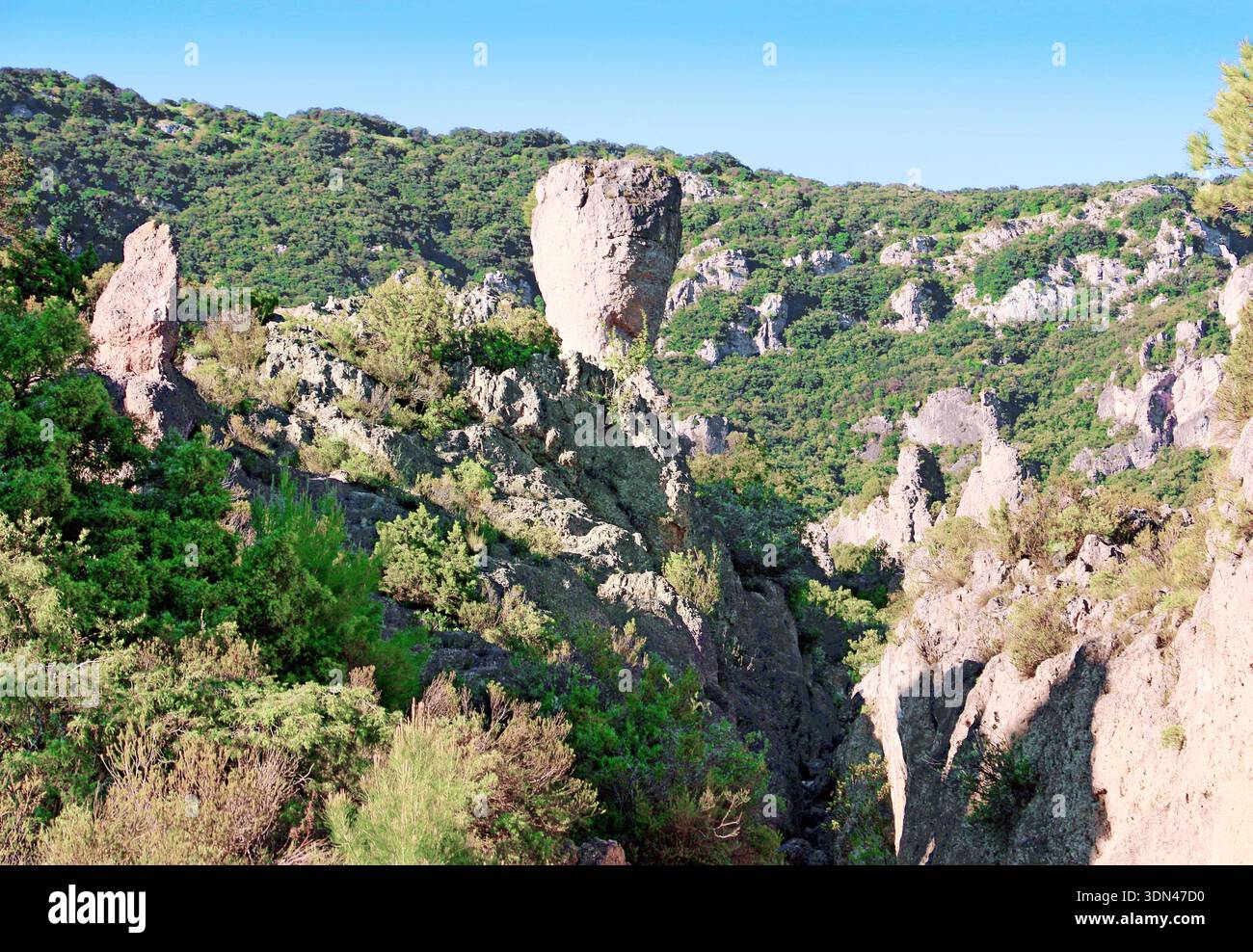 Felsen im malerischen Kessel von Mourèze. Hérault, Frankreich. Dolomitischer Kalkstein erodiert zu einer charakteristischen Form von Ruinen in der Natur. Stockfoto