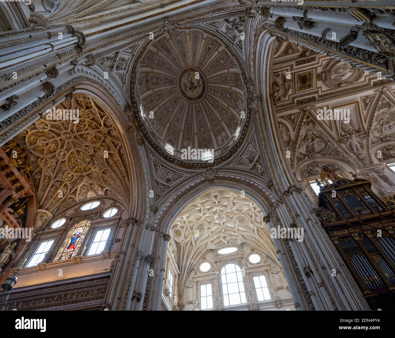 Cordoba, Spanien - 20. Juli 23: Aufwärtsblick auf die kunstvolle Renaissance-Kuppel, Rippengewölbe und helle Fenster innerhalb der Kathedrale. Stockfoto