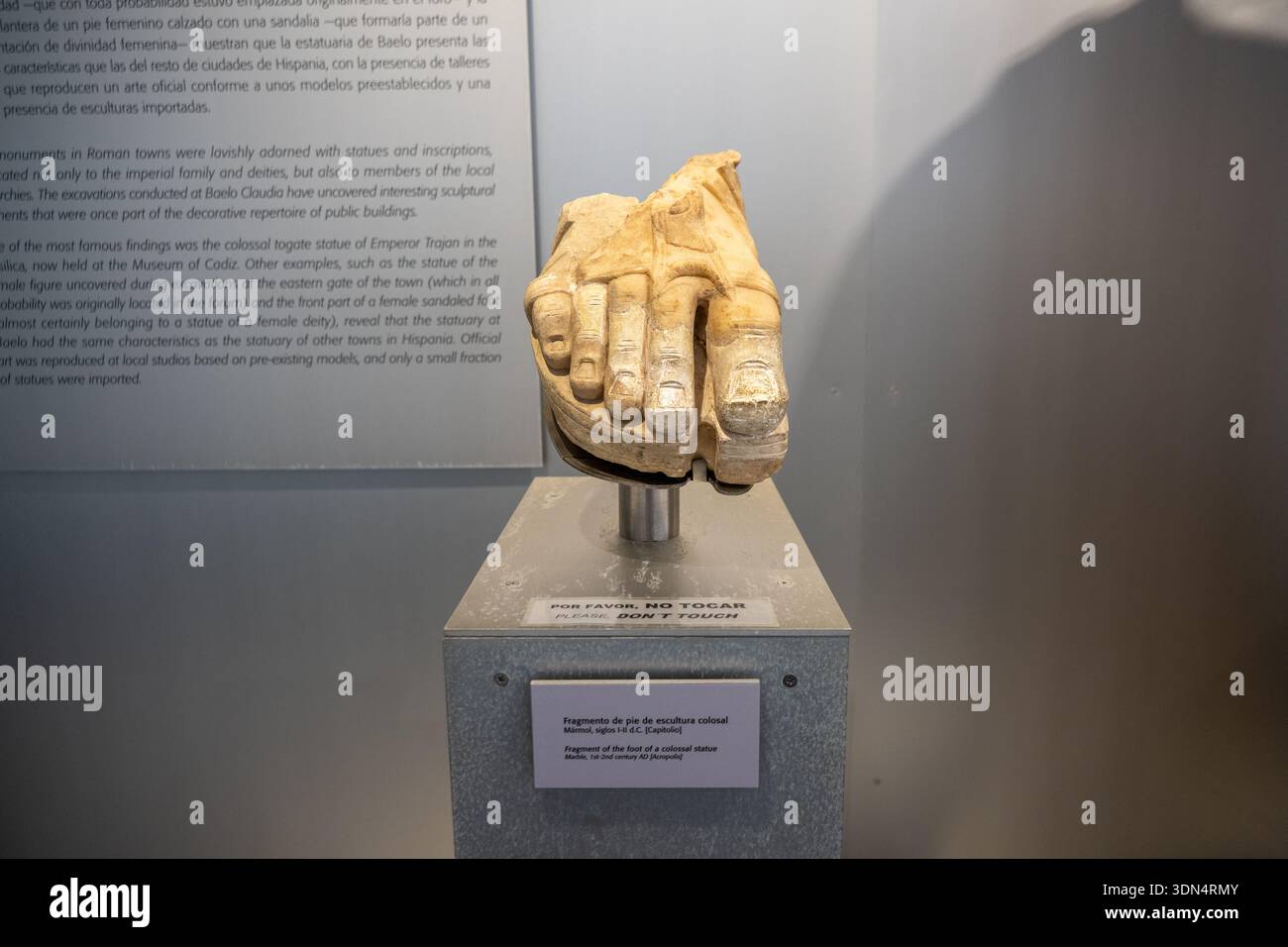 Bolonia, Spanien - 29. Juli 23: Marmorfragment einer kolossalen römischen Statue Fuß im Archäologischen Museum Baelo Claudia in Bolonia Cadiz Spanien. Stockfoto