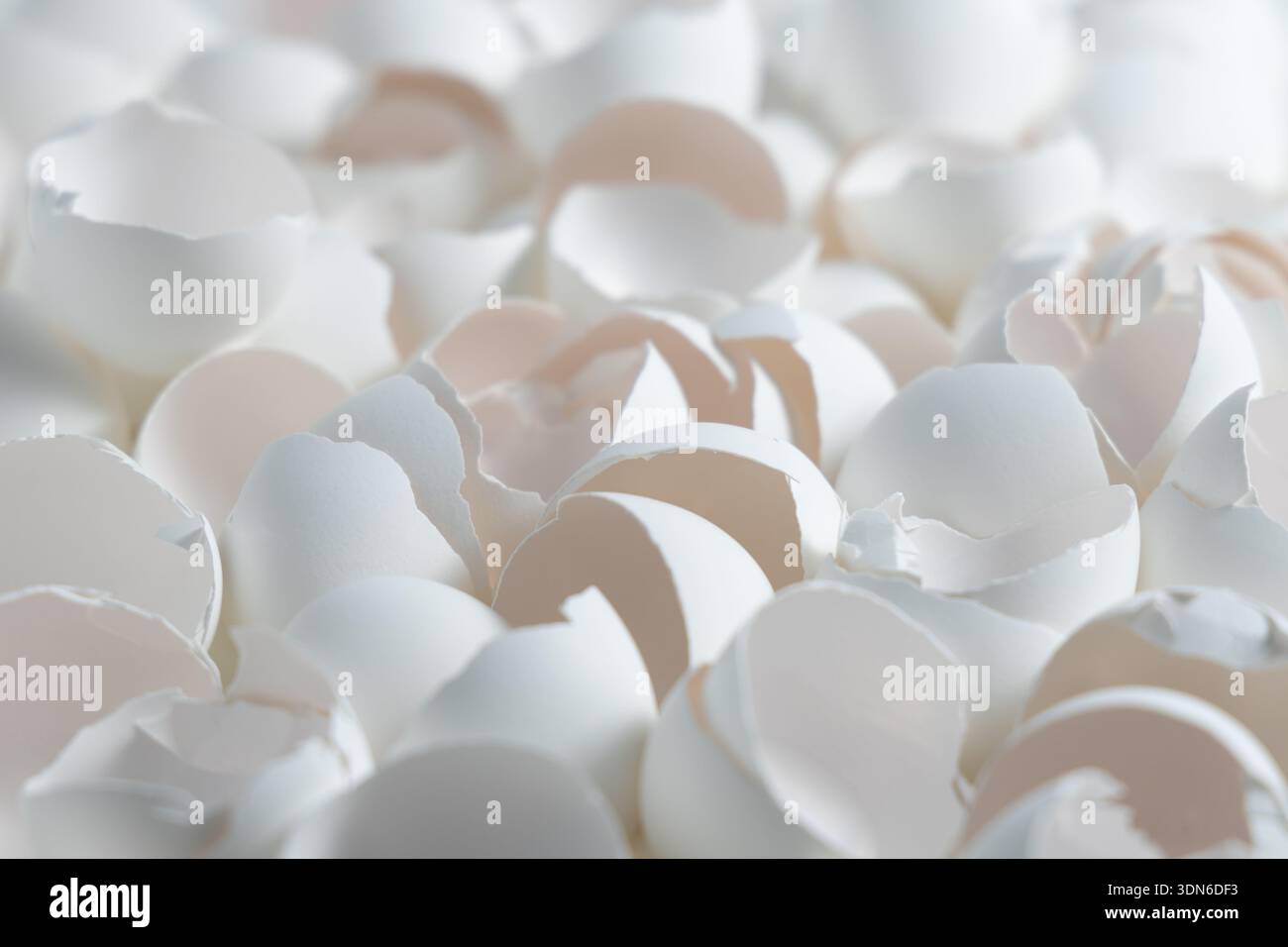 Viele Eierschalen sind auf einer Ebenen Oberfläche verstreut, nachdem die Eier zum Kochen oder Backen verwendet wurden. Stockfoto