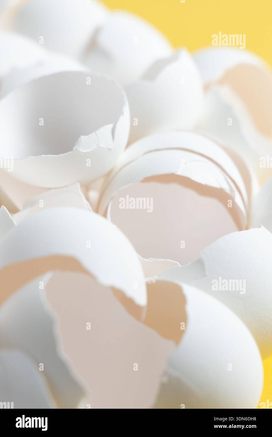 Kleine Stücke gebrochener Eierschalen decken einen gelben Hintergrund. Die Schalen sind weiß und einige Stücke sind zerklüftet. Stockfoto