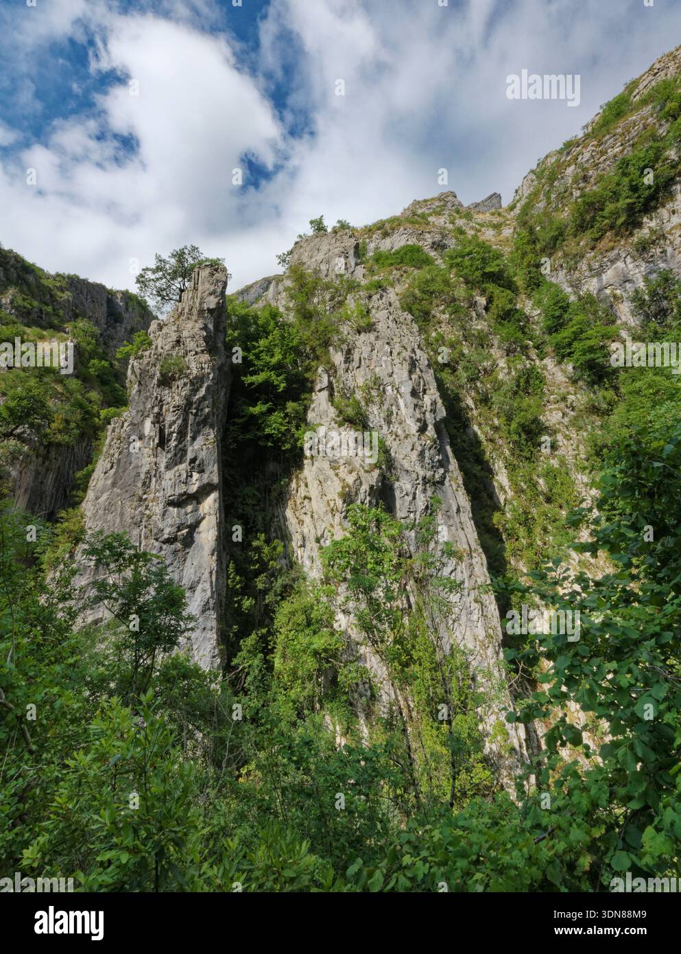 Schiere Kalksteinwand in der Nähe von Oseja de Sajambre, Picos de Europa, Kastilien und Leon, Spanien, Juni 2025. Stockfoto