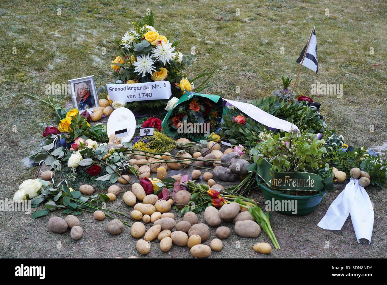 Potsdam - 25. Januar 2026: Das Grab Friedrichs des Großen in Sanssouci mit Kartoffeln und Blumen zu seinem Geburtstag. Stockfoto