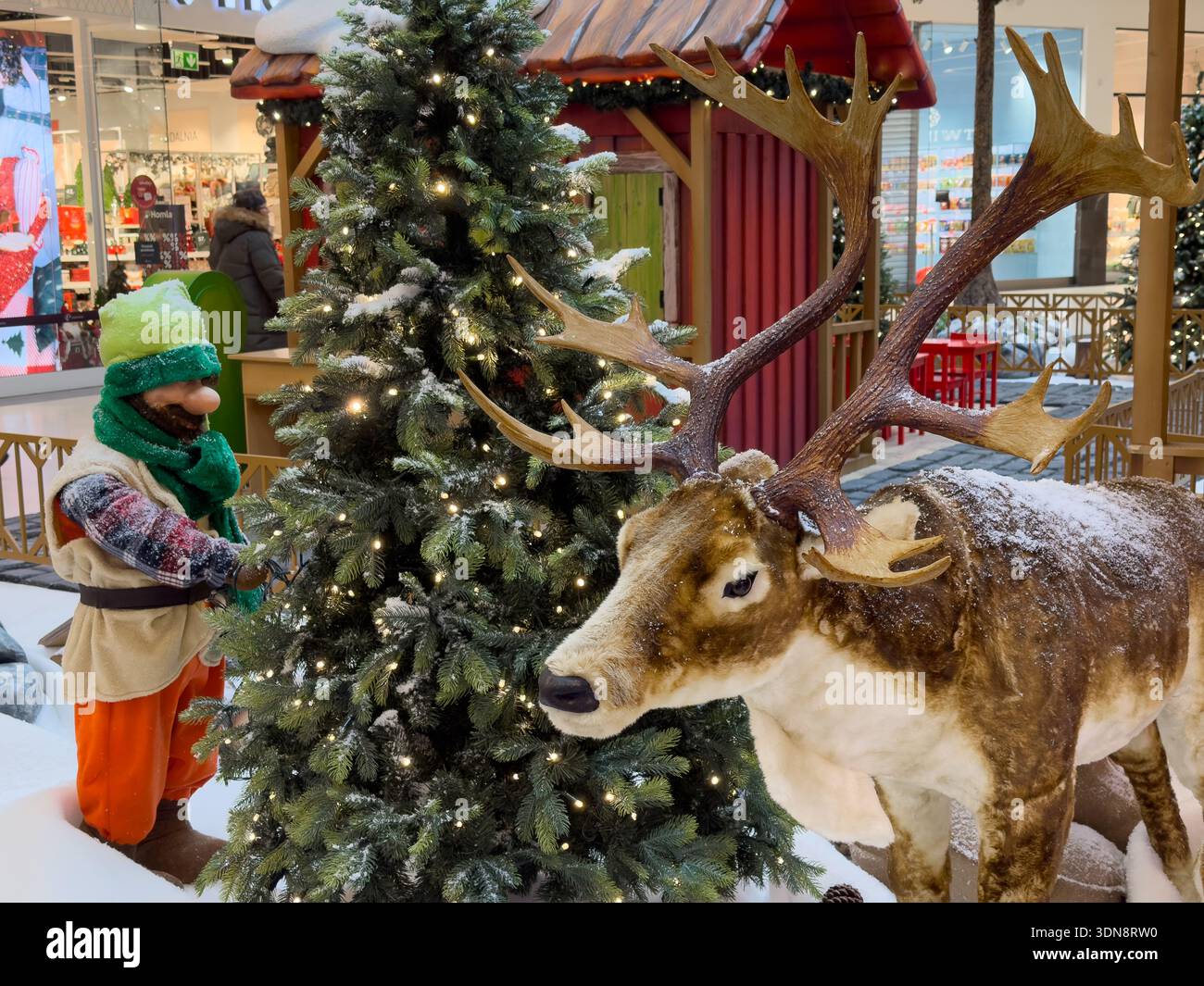 Eine lebhafte Weihnachtsszene im Innenbereich mit einem bezaubernden Zwerg neben einem beleuchteten Baum und einem majestätischen, schneebedeckten Rentier, perfekt für saisonale Retai Stockfoto