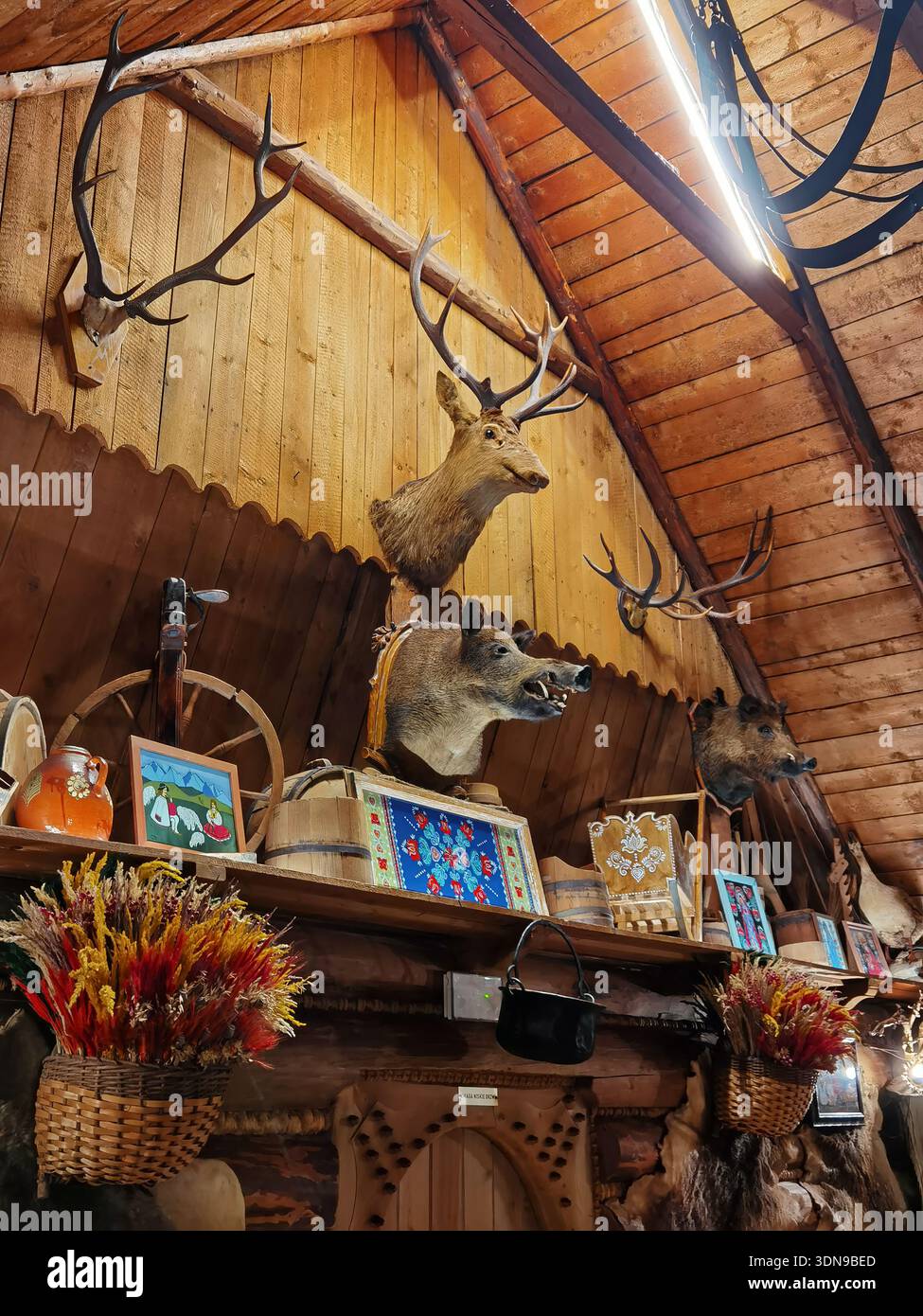 Rustikale Innenausstattung der Kabine mit Taxidermienbefestigungen und volkstümlichem Dekor - Smartphone-aufgenommenes Stockfoto
