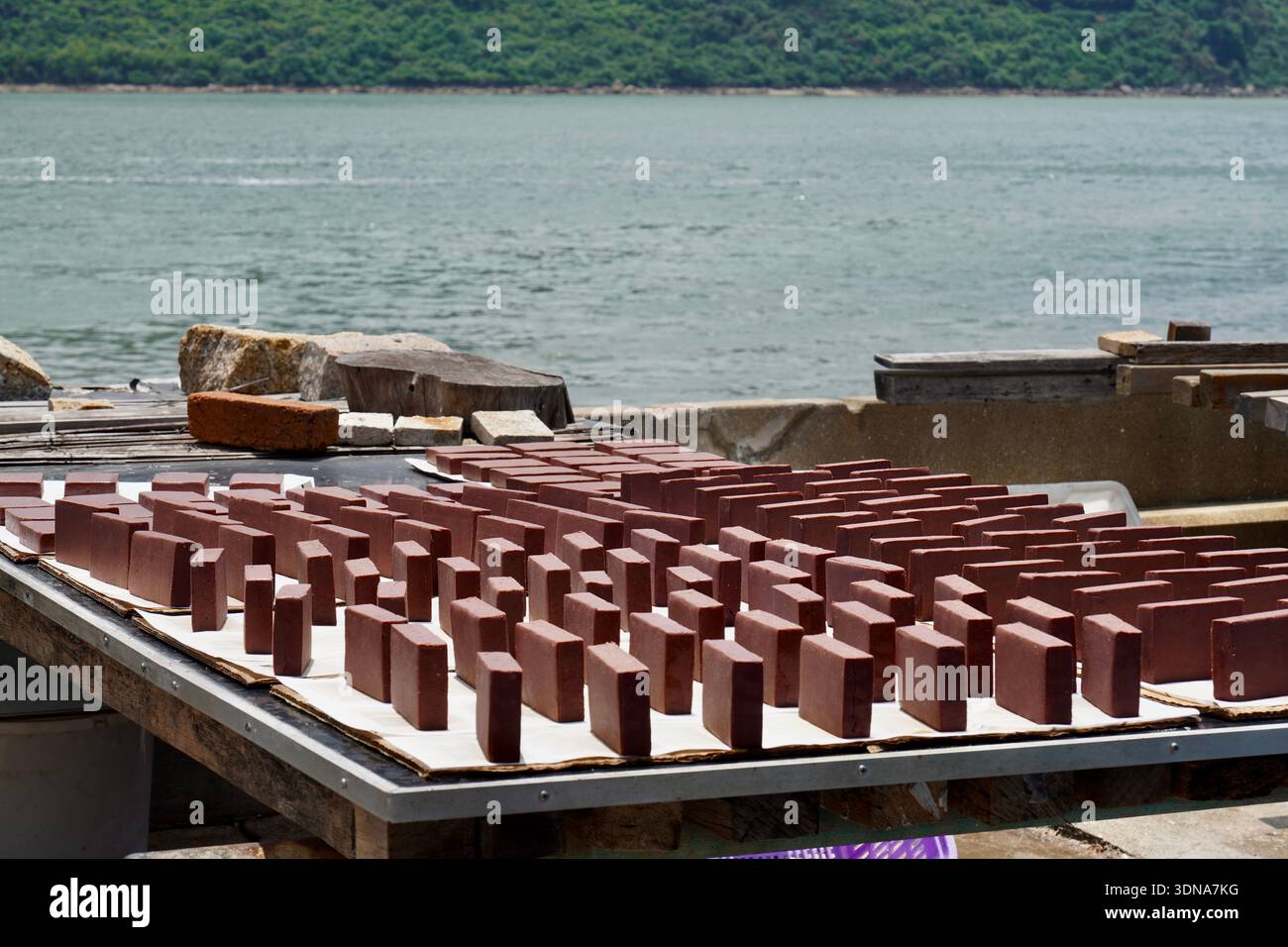 Echte authentische Garnelenpaste, die in Tai O Hong Kong geformt und hergestellt wird, trocknet in der Sonne am Ufer des Ozeans. Stockfoto