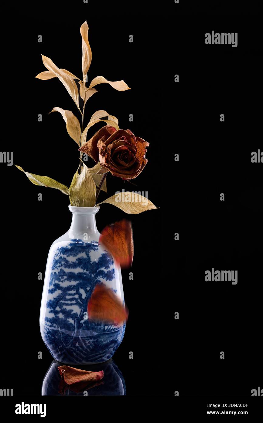Verwelkte Rose in einer dekorativen Vase auf reflektierender Oberfläche vor dunklem Hintergrund, die die Vergänglichkeit des Lebens und die verblichene Schönheit zeigt Stockfoto