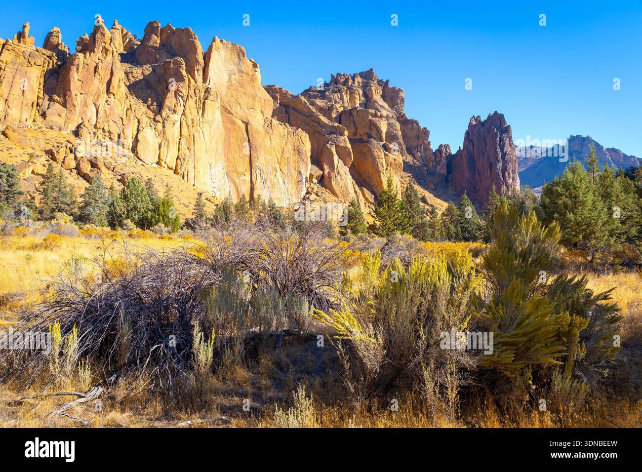 Die dramatischen, steilen Klippen des Smith Rock dominieren die hohe Wüstenlandschaft unter einem klaren, hellblauen Sommerhimmel Stockfoto