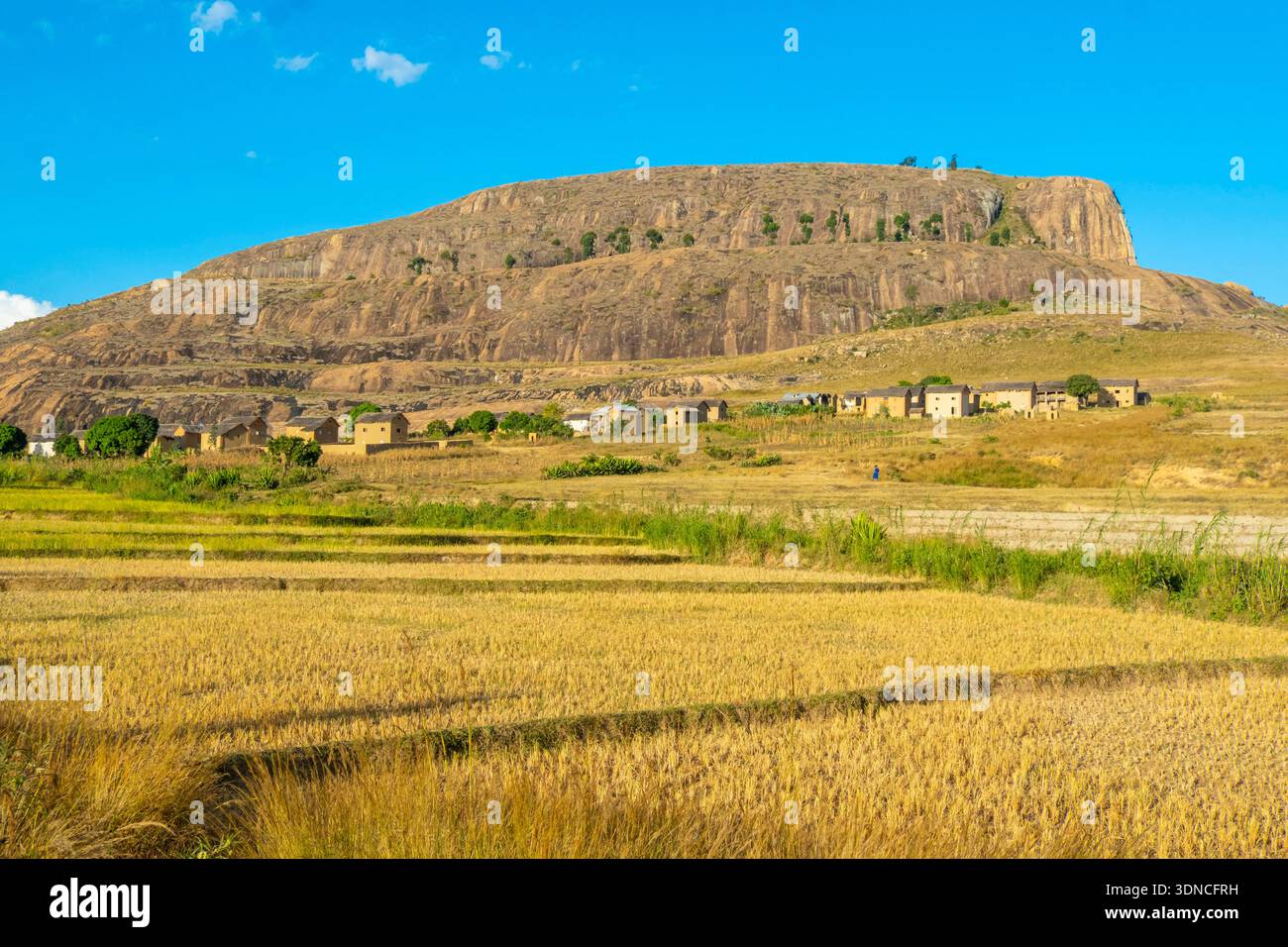 Madagaskar, Haute Matsiatra Region, Betsileo Country, National Road 7 oder RN7, Umgebung westlich von Ambalavao, Reisfelder Stockfoto