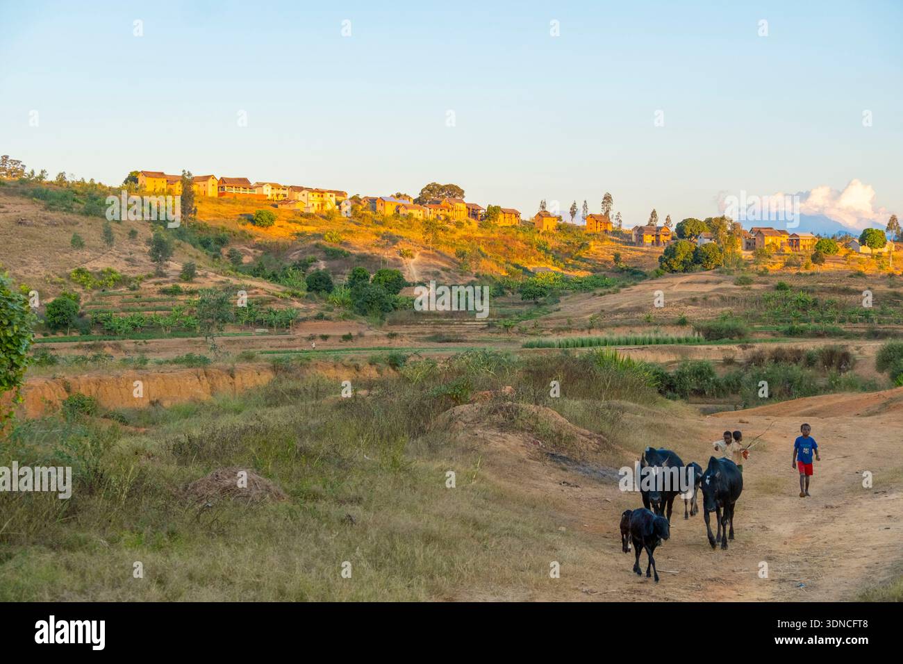 Madagaskar, Region Haute Matsiatra, Land Betsileo, Nationalstraße 7 oder RN7, in der Nähe von Ambalavao, Andringitra Massif, Dorf Stockfoto
