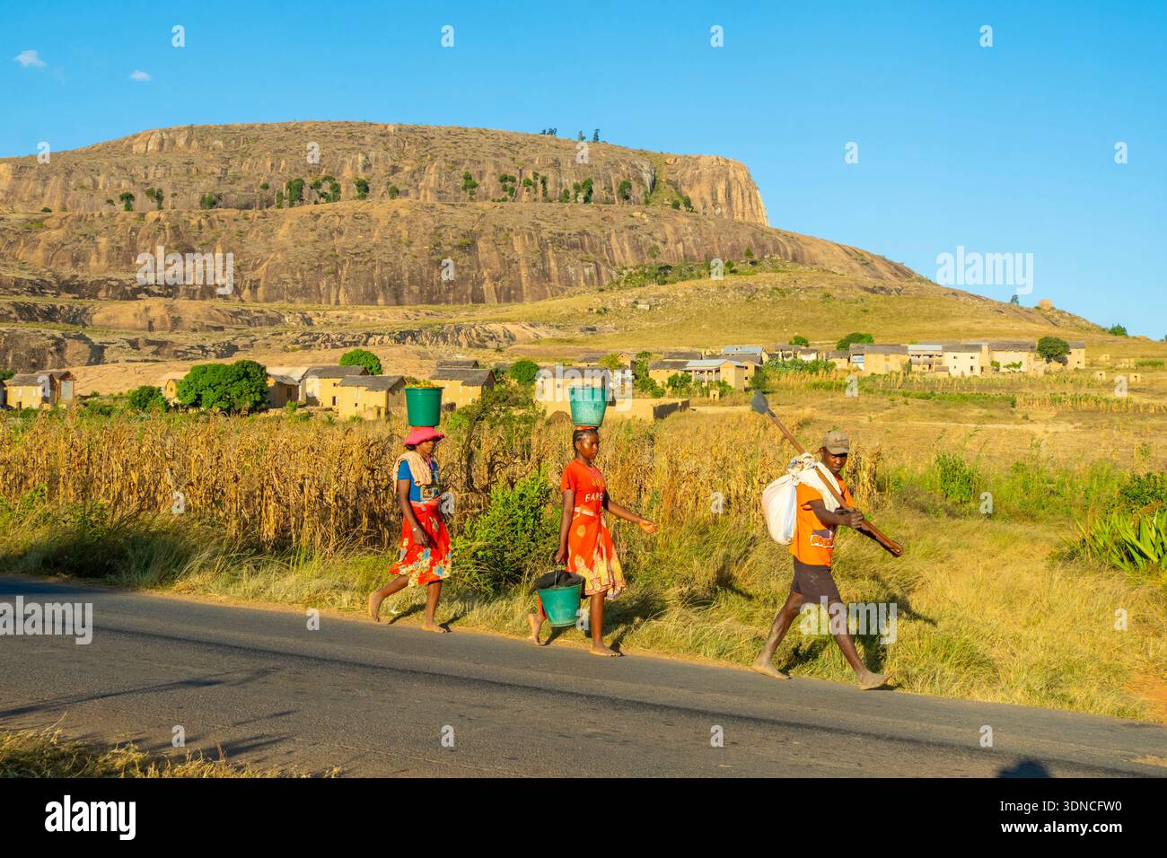 Madagaskar, Region Haute Matsiatra, Betsileo Country, National Road 7 oder RN7, Umgebung westlich von Ambalavao, Frauen mit Eimern auf dem Kopf Stockfoto
