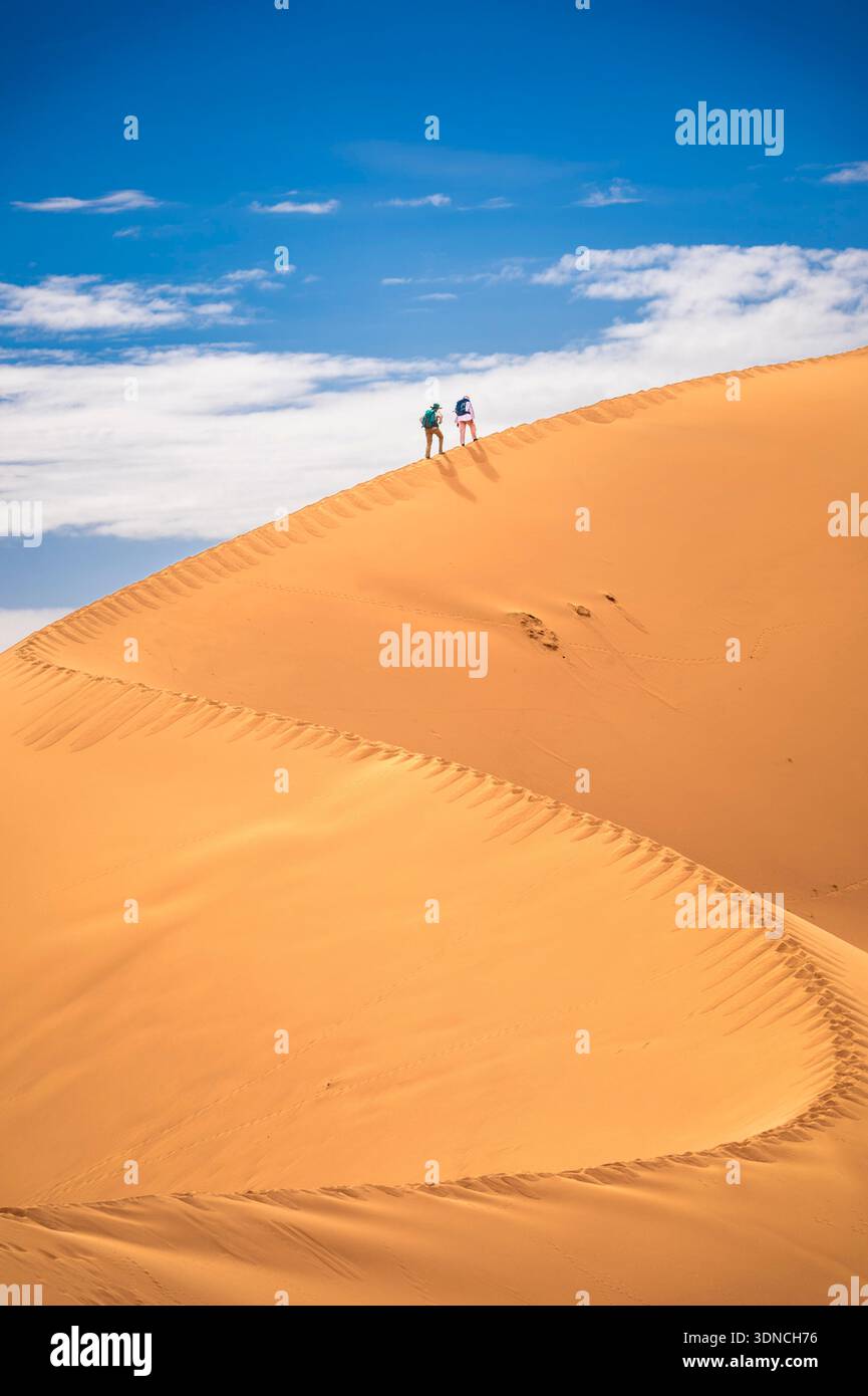 Marokko, Sahara, Region Drâa-Tafilalet, M'Hamid El Ghizlane, Dünenwanderung Stockfoto