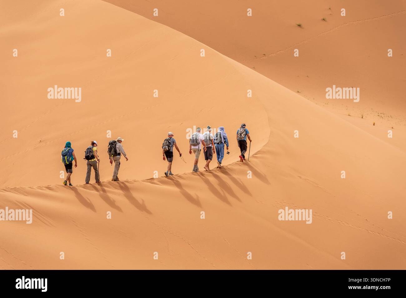 Marokko, Sahara, Region Drâa-Tafilalet, M'Hamid El Ghizlane, Dünenwanderung Stockfoto