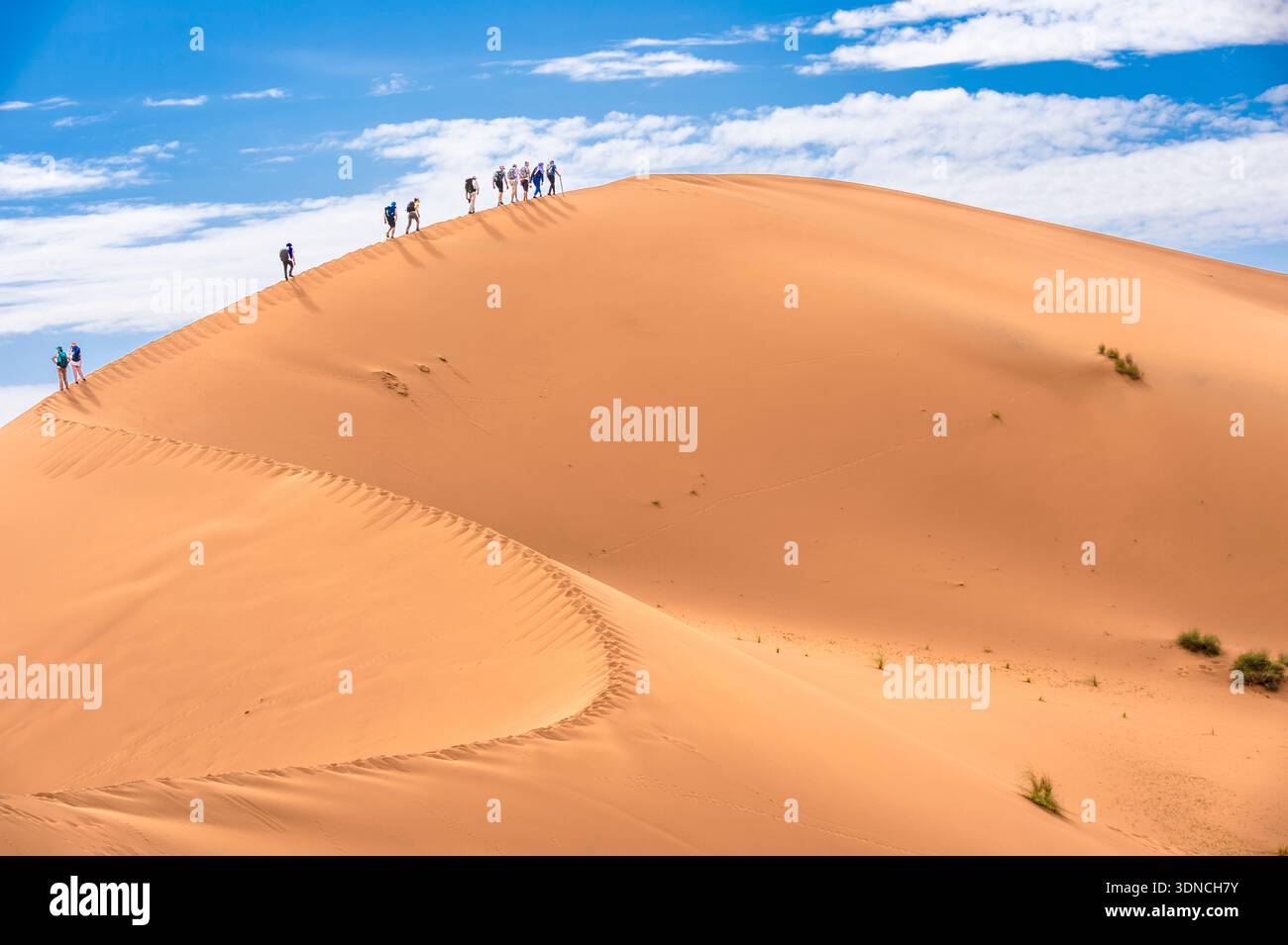 Marokko, Sahara, Region Drâa-Tafilalet, M'Hamid El Ghizlane, Dünenwanderung Stockfoto
