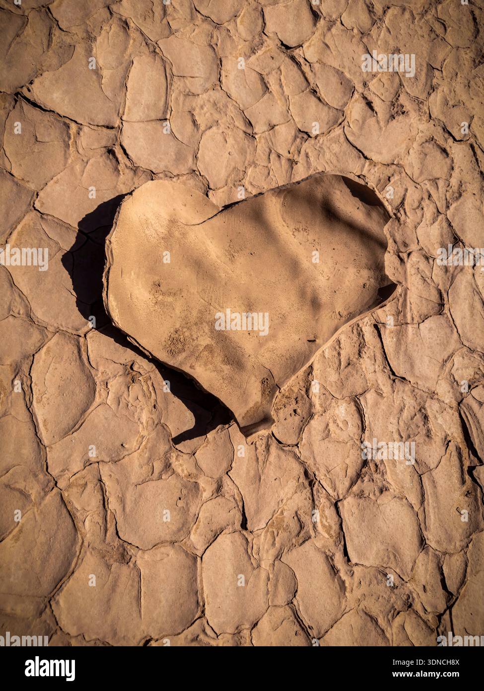 Marokko, Sahara, Region Drâa-Tafilalet, M'Hamid El Ghizlane, Khert El Galzim, natürliches Herz auf einem Boden aus Trockenkrusten Stockfoto