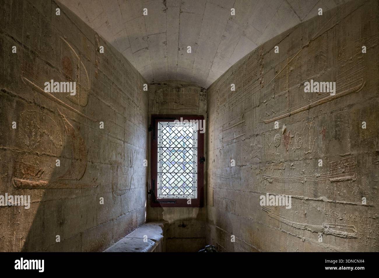Frankreich, Bouches du Rhone, Tarascon, Burg von König René aus dem 15. Jahrhundert, Graffiti und Ex-Votos des katalanischen Gefangenen, graviert von einem Gefangenen von René I. um 1480, darunter lange Schiffe, Handelsgaleeren, Brigantinen, Galliots, Kämpfe gegen Galeeren oder Fusten, aber auch Rundschiffe, katalanische Cocas, iberische Schiffe und provenzalische Karren, die an die Karavellen von Christoph Kolumbus erinnern Stockfoto