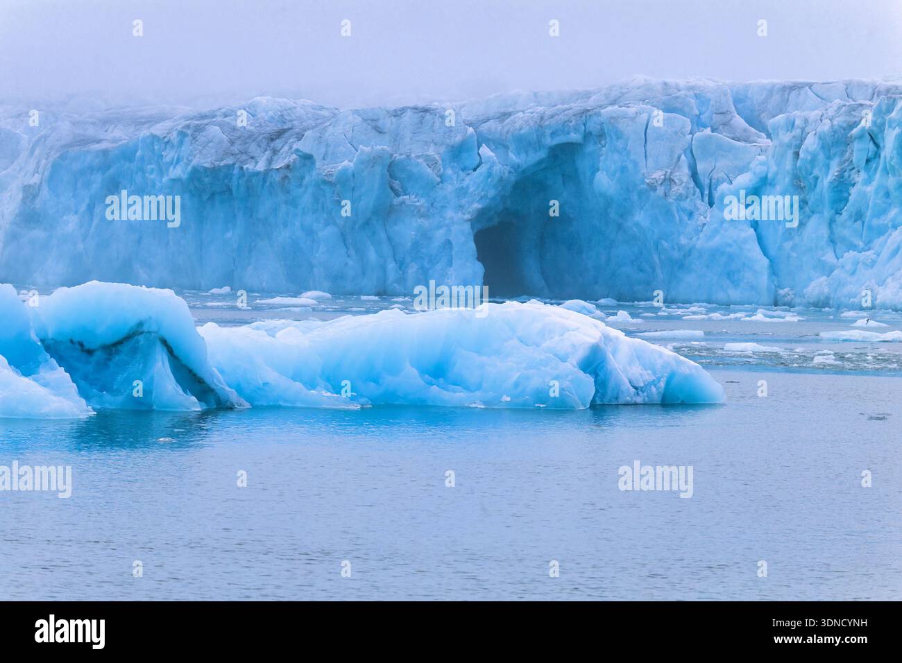 Gletscherregal mit einer Höhle am Meer Stockfoto