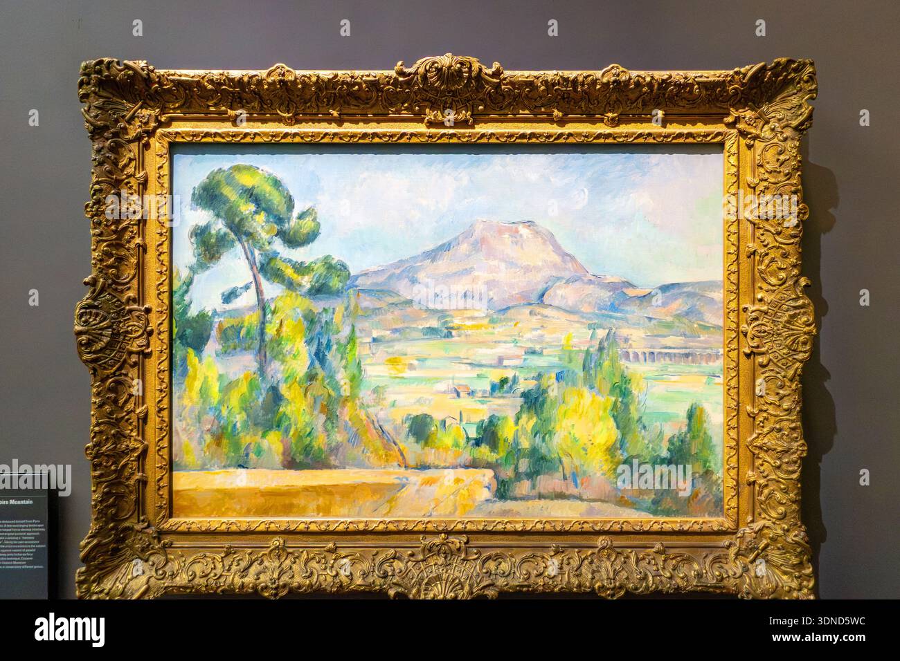 Frankreich, Paris, Musee d'Orsay, Paul Cezanne, Mont Sainte Victoire Stockfoto