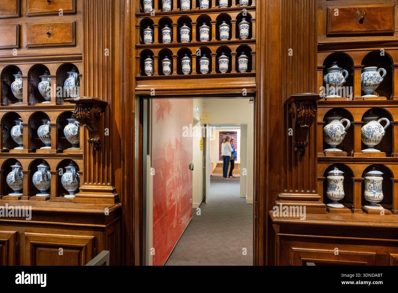 Frankreich, Cote d'Or, Dijon, von der UNESCO zum Weltkulturerbe erklärt, Internationale Stadt für Gastronomie und Wein vom Architekten Anthony Béchu, Apotheke des alten allgemeinen Krankenhauses Stockfoto