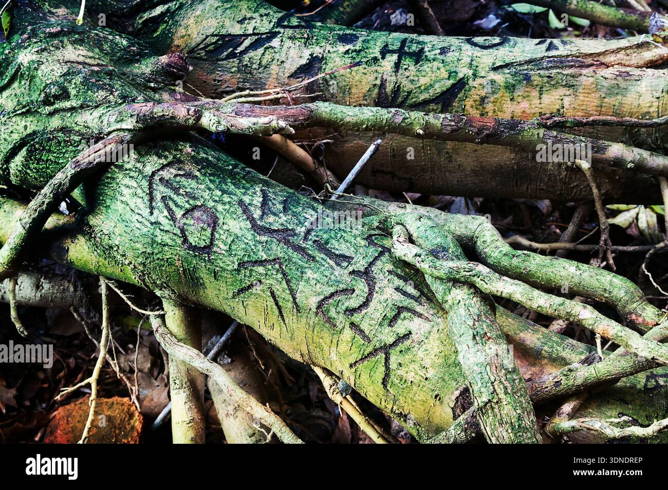 Hexerei-Symbole Stockfoto
