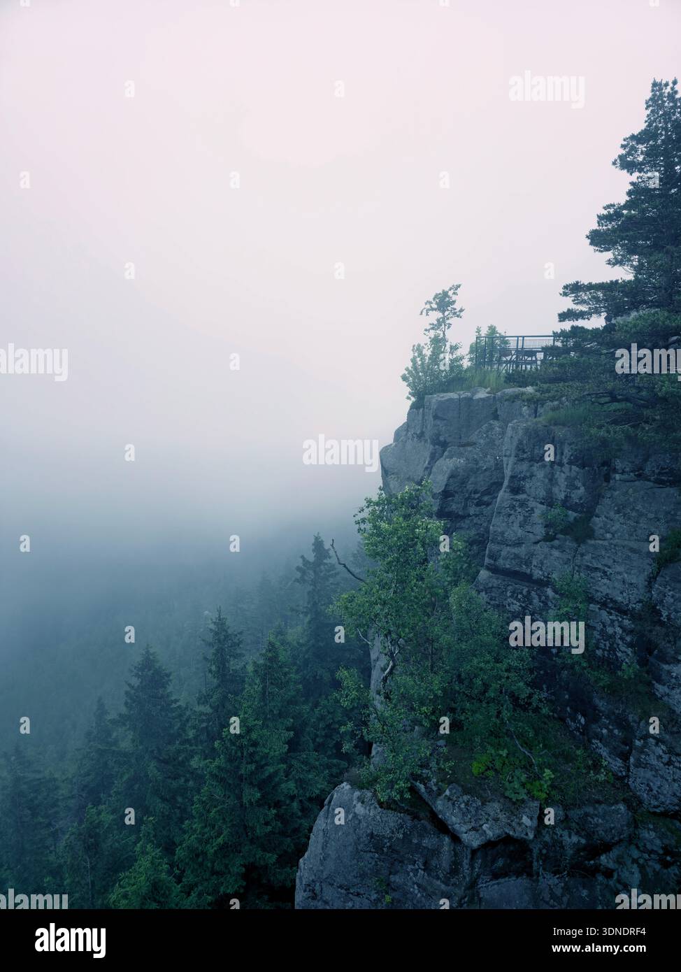 Nebelige Szene, Berg bedeckt mit einem Nadeltannenwald. Malerische Landschaft aus. Felsen, Wald, Nebel, Tal. Nationalpark. Nebeliger Sommermorgen Stockfoto