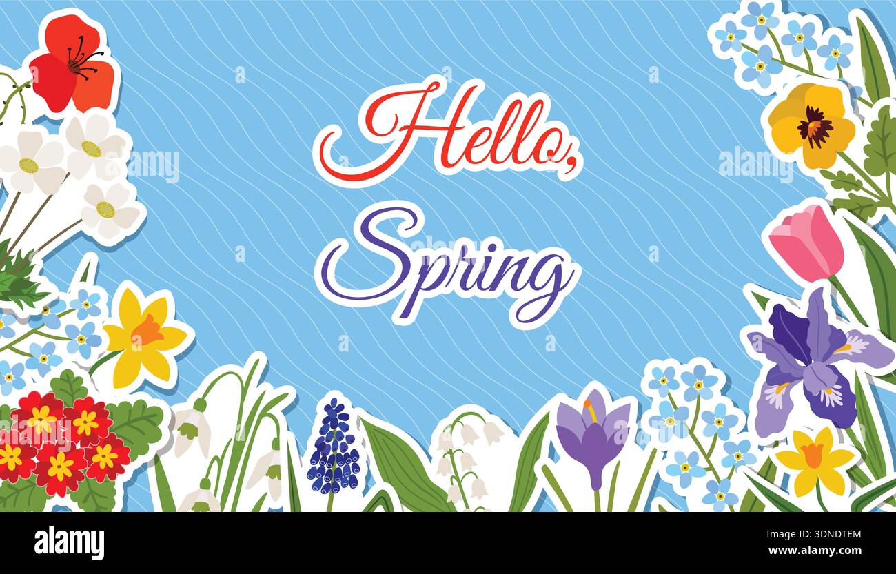 Buntes Hello Spring Banner, Poster oder Grußkarte mit Blumenaufklebern. Enthält Frühlingsblumen wie Iris, Tulpen, Narzissen und Mohn auf einem b Stock Vektor