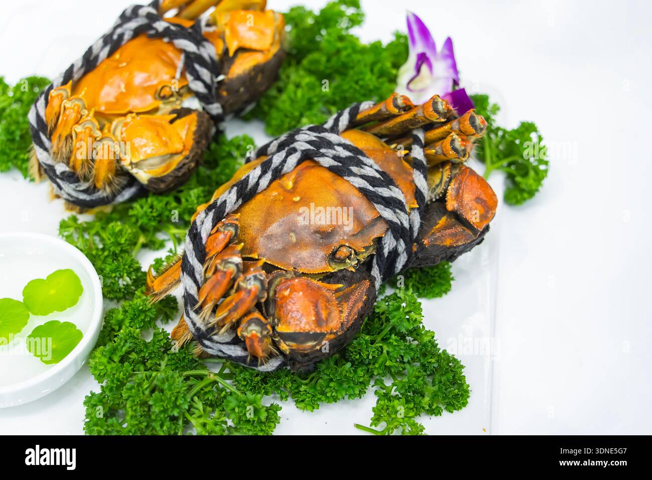 behaarte Krabben, chinesische Küche, Herbst-Winter-Delikatesse Stockfoto