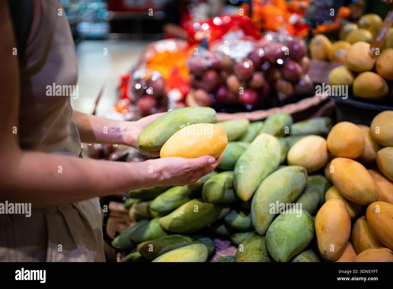 Frau Hand wählt reife Mangobrüchte aus der Sorte auf dem Markt Zähler für gesunde Ernährung Wahl Stockfoto