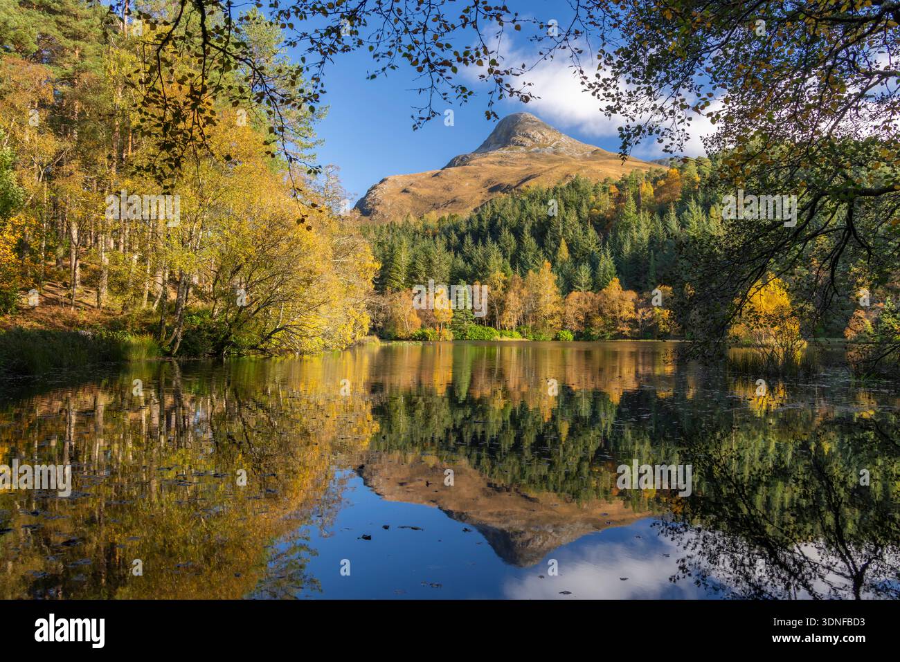 Der Pap of Glencoe Mountain spiegelt sich im herbstlichen Glencoe Lochan, Highlands, Schottland. Herbst (Oktober) 2025. Stockfoto